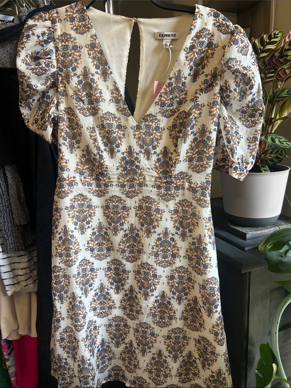 Express Cream Dress with Blue and Brown Floral Print